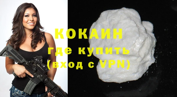 индика Магас