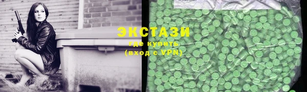 индика Магас