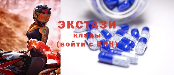 индика Магас