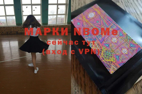 индика Магас
