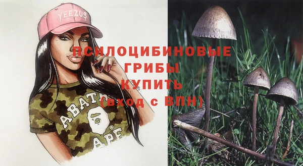 spice Магадан