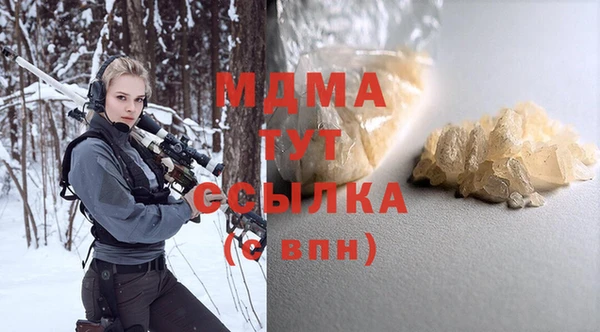 индика Магас