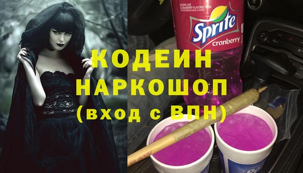 индика Магас