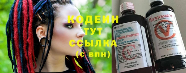 индика Магас