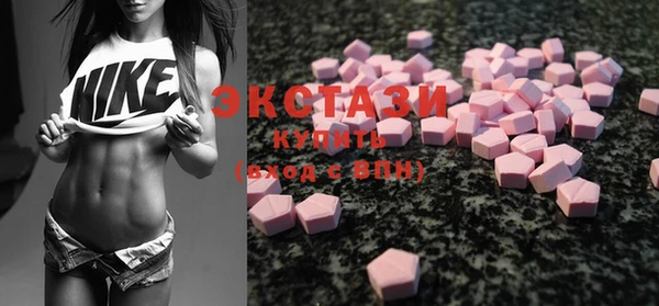 индика Магас