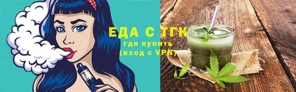 индика Магас