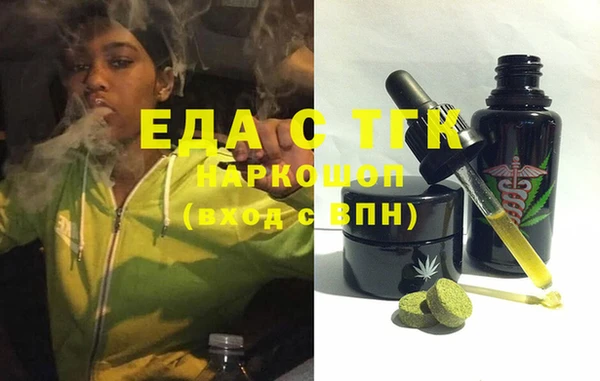 индика Магас