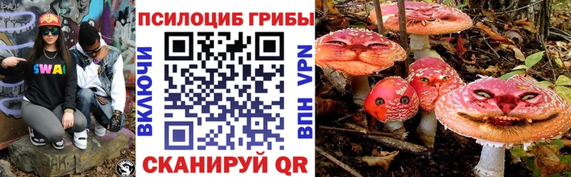 Галлюциногенные грибы прущие грибы  Купить закладки  Анапа 